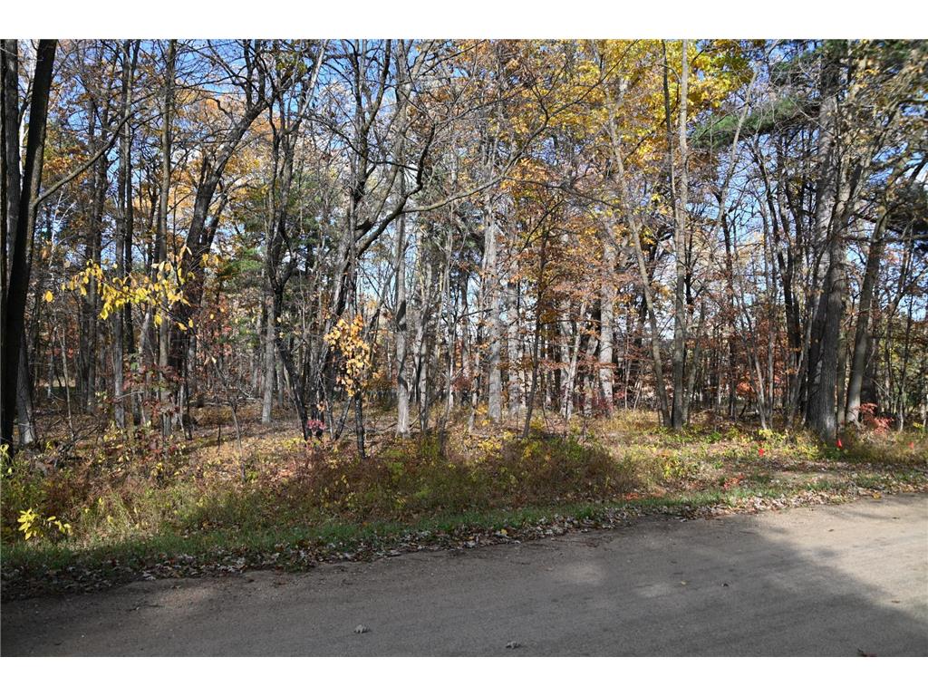 40889 Penelope Loop Fawn Lake Twp MN 56438 7034473 image1
