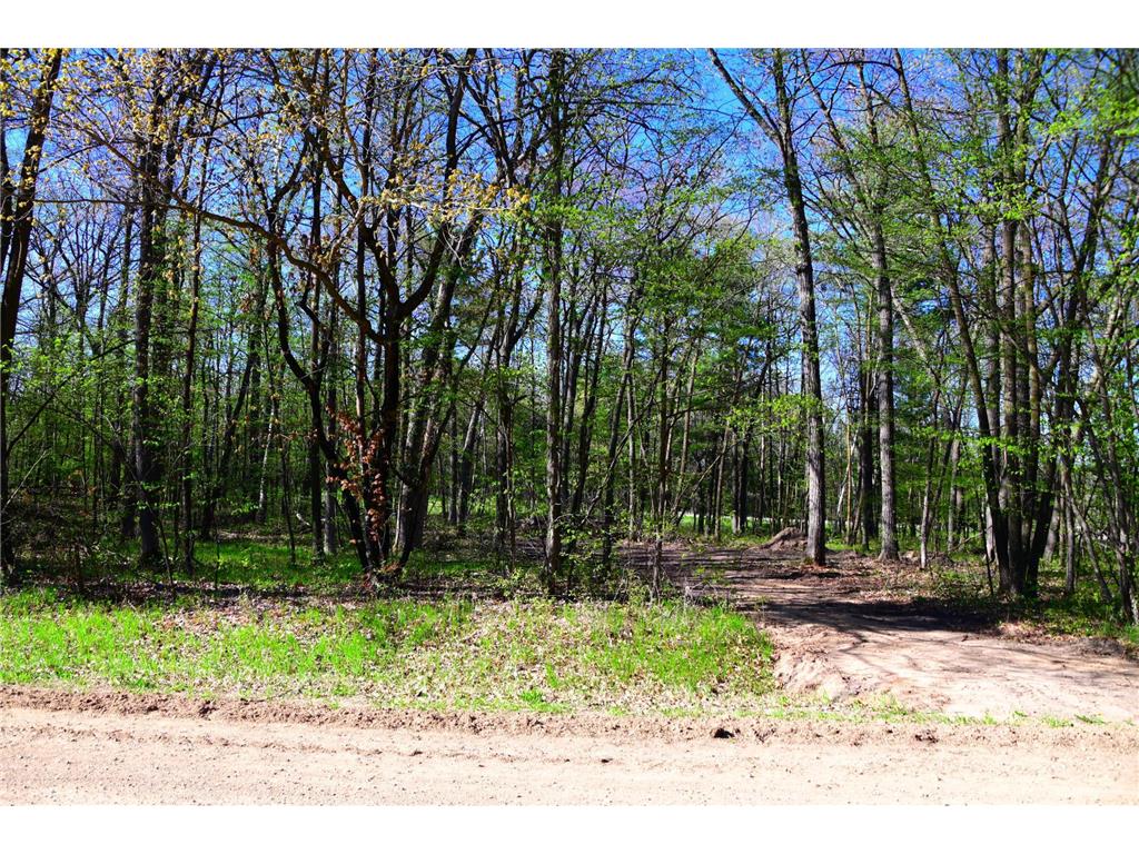 40889 Penelope Loop Fawn Lake Twp MN 56438 7034473 image11