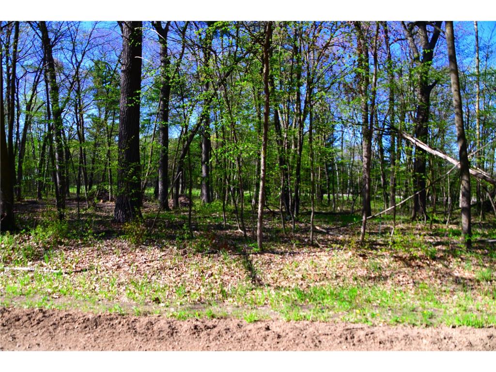 40889 Penelope Loop Fawn Lake Twp MN 56438 7034473 image12