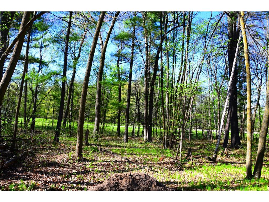 40889 Penelope Loop Fawn Lake Twp MN 56438 7034473 image14