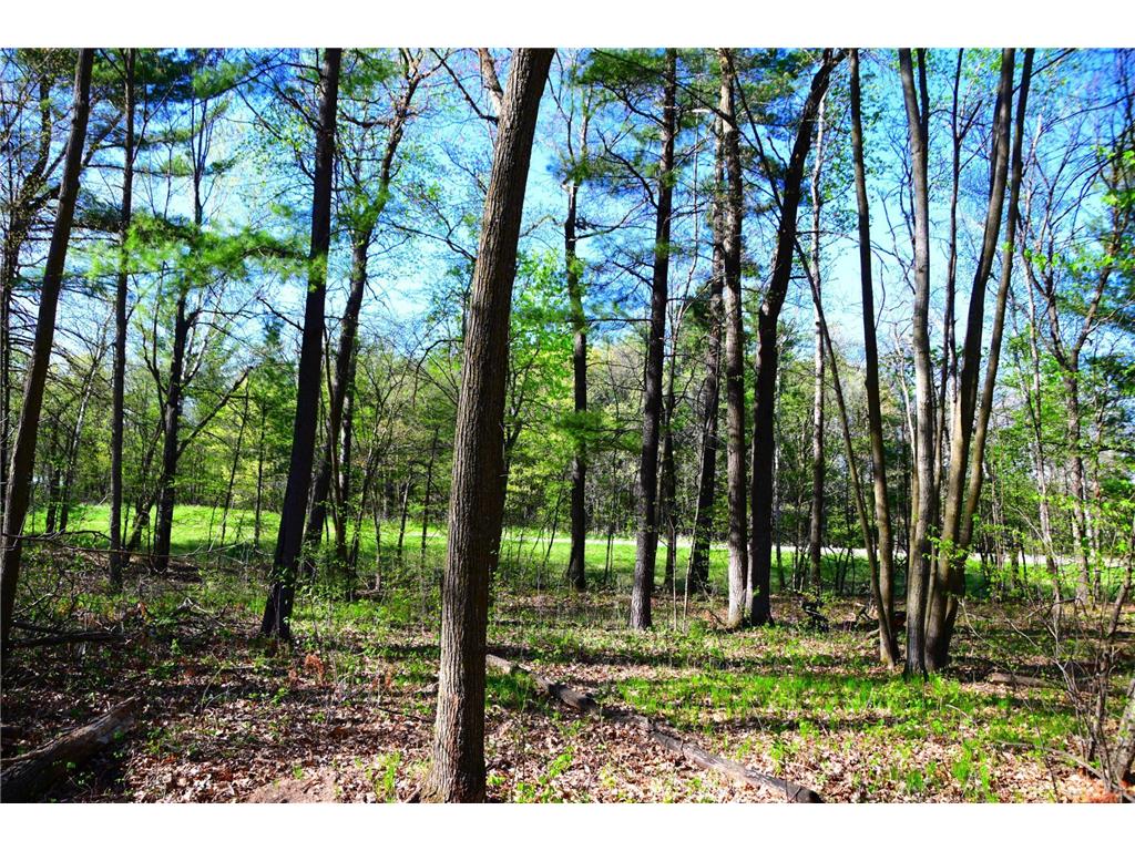 40889 Penelope Loop Fawn Lake Twp MN 56438 7034473 image15