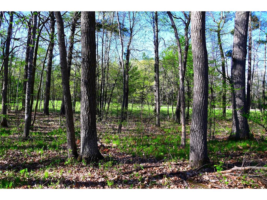 40889 Penelope Loop Fawn Lake Twp MN 56438 7034473 image16
