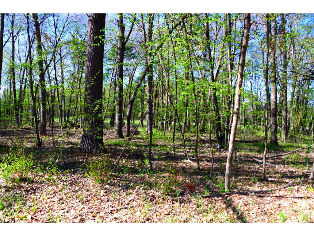 40889 Penelope Loop Fawn Lake Twp MN 56438 7034473 image17