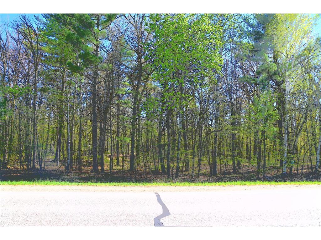 40889 Penelope Loop Fawn Lake Twp MN 56438 7034473 image18