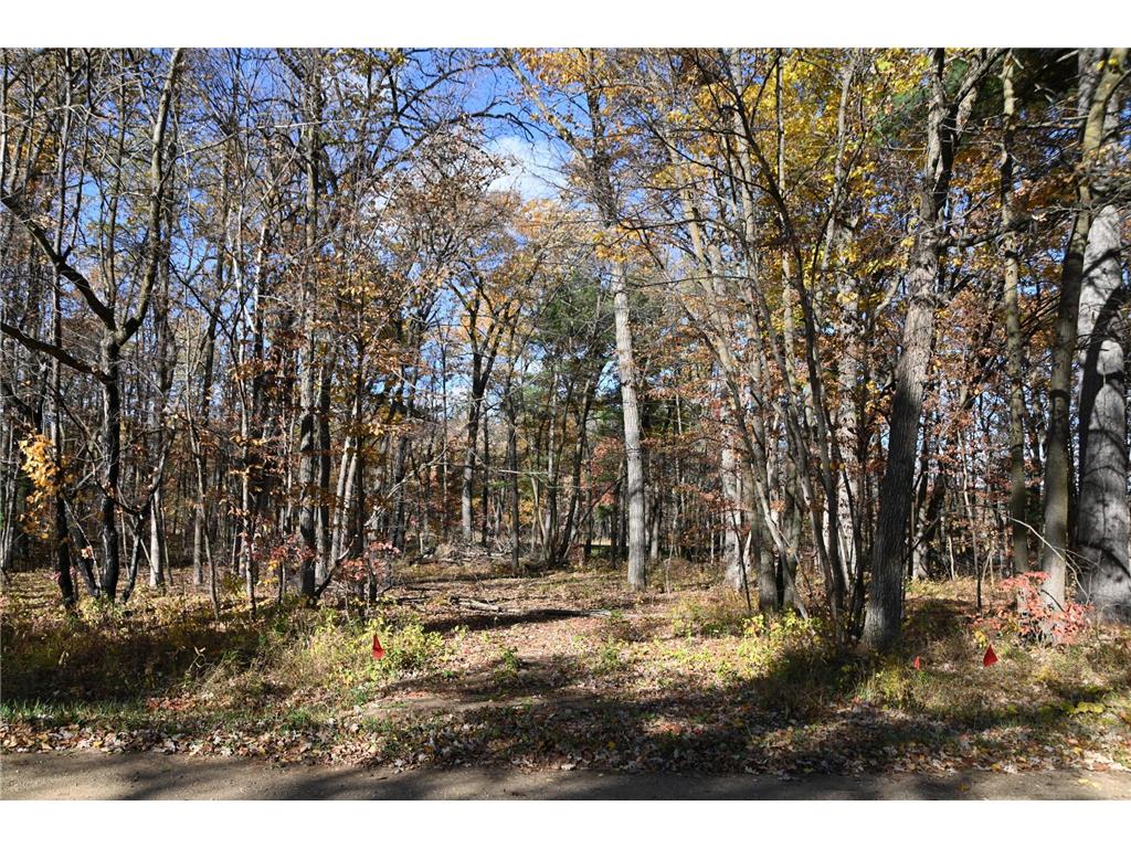 40889 Penelope Loop Fawn Lake Twp MN 56438 7034473 image2