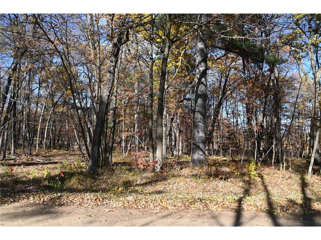 40889 Penelope Loop Fawn Lake Twp MN 56438 7034473 image3