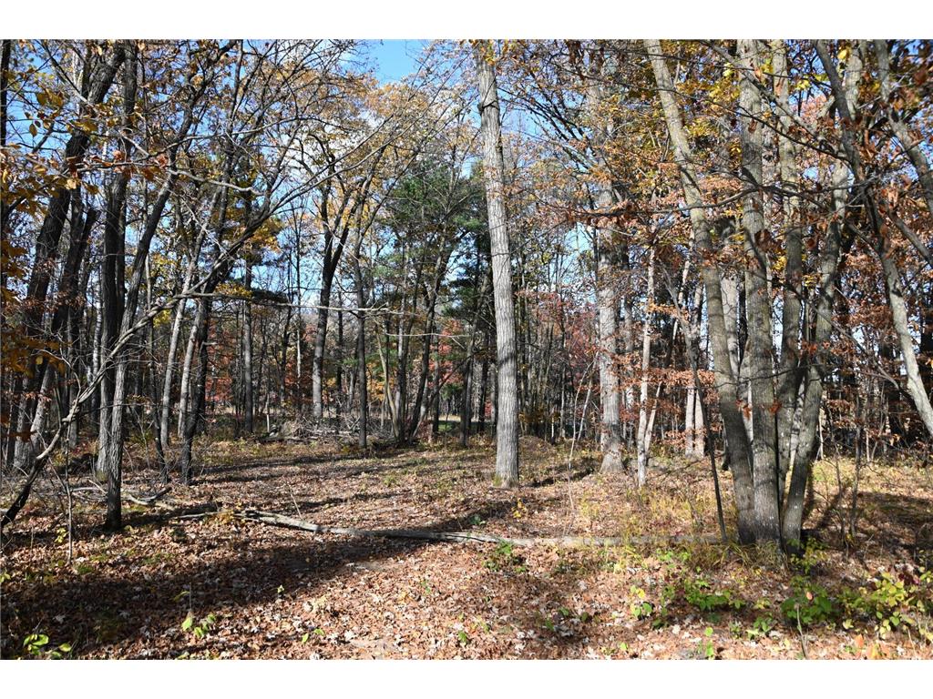 40889 Penelope Loop Fawn Lake Twp MN 56438 7034473 image4