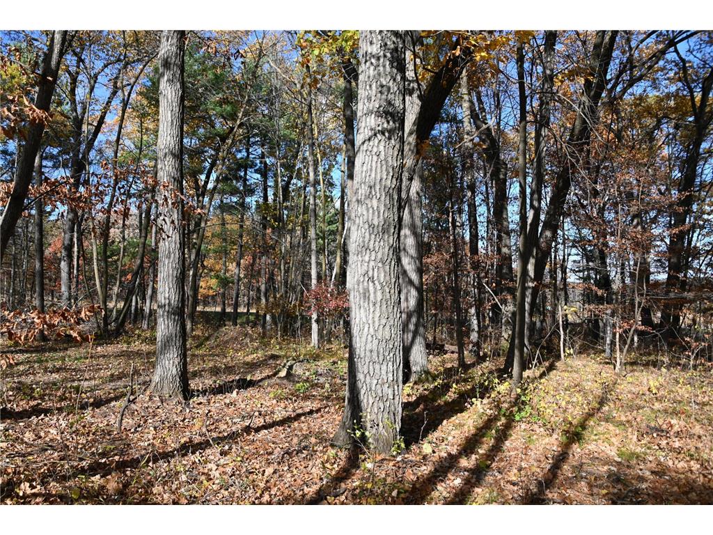 40889 Penelope Loop Fawn Lake Twp MN 56438 7034473 image5