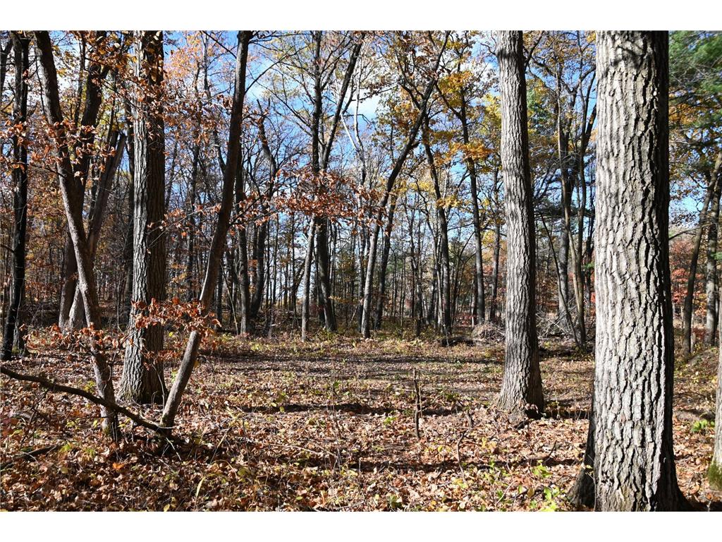 40889 Penelope Loop Fawn Lake Twp MN 56438 7034473 image6