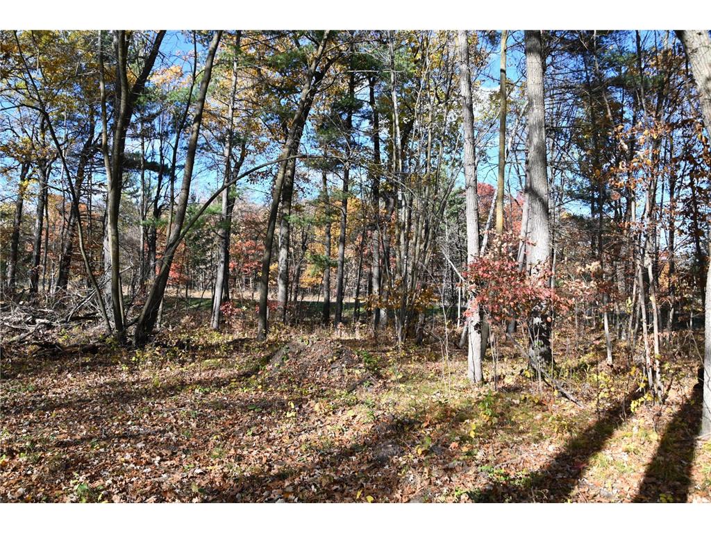 40889 Penelope Loop Fawn Lake Twp MN 56438 7034473 image8