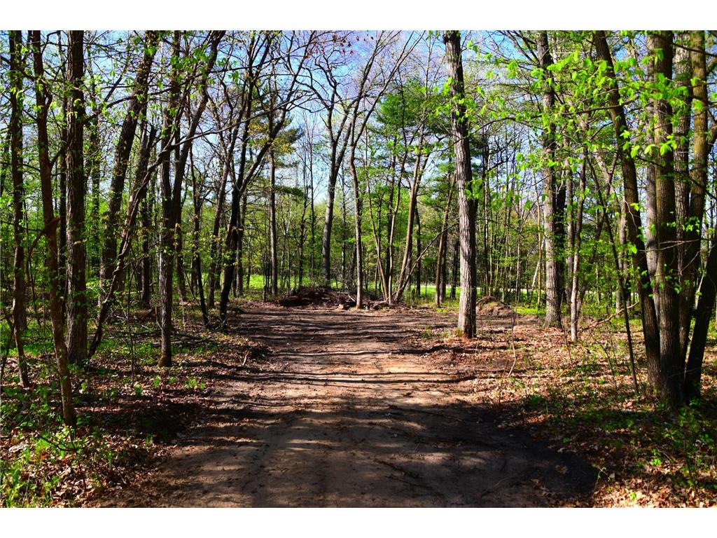 40889 Penelope Loop Fawn Lake Twp MN 56438 7034473 image9