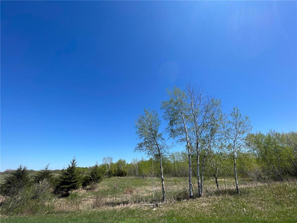 408xx Tiger Street NW Milaca MN 56353 6634828 image1