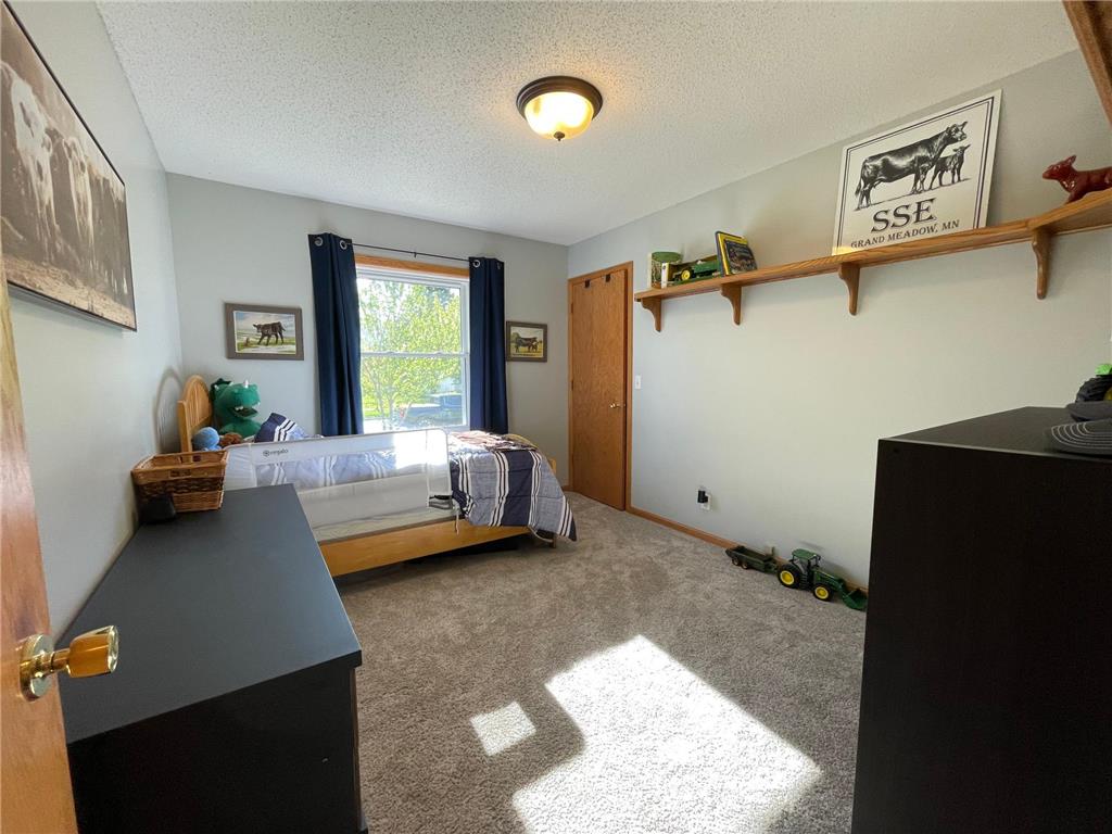 409 1st Street SW Grand Meadow MN 55936 7071728 image15