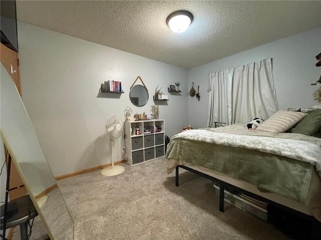 409 1st Street SW Grand Meadow MN 55936 7071728 image17