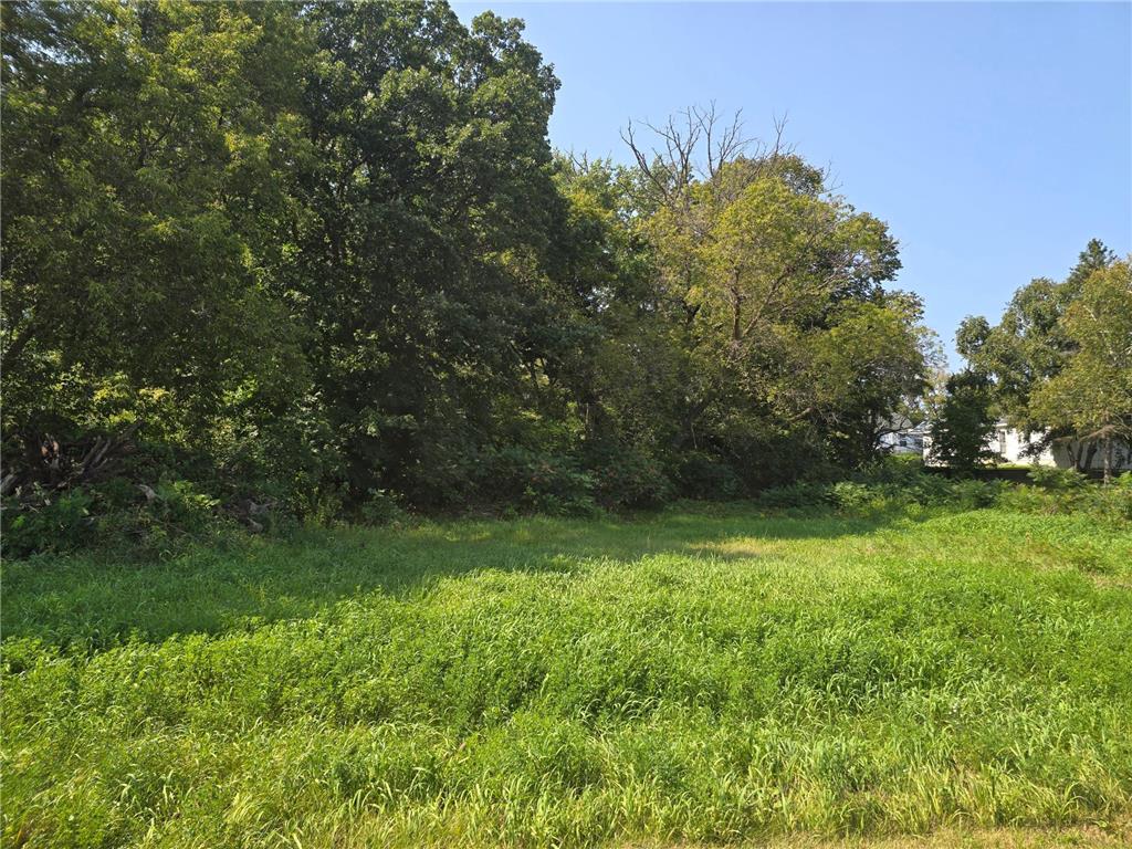 409 Dianne Avenue Vergas MN 56587 6444026 image1