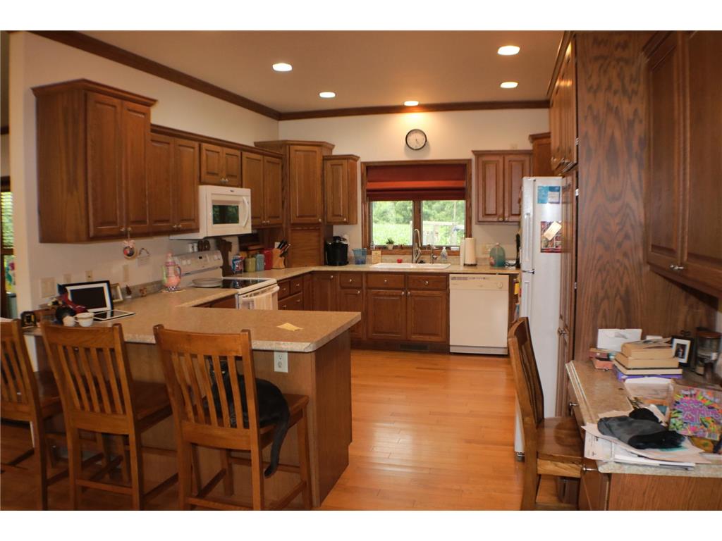 409 Fox Lake Avenue Sherburn MN 56171 7097431 image9