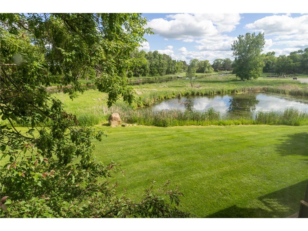 409 Norway Avenue #203 Pine River MN 56474 - Pine River 7096386 image18