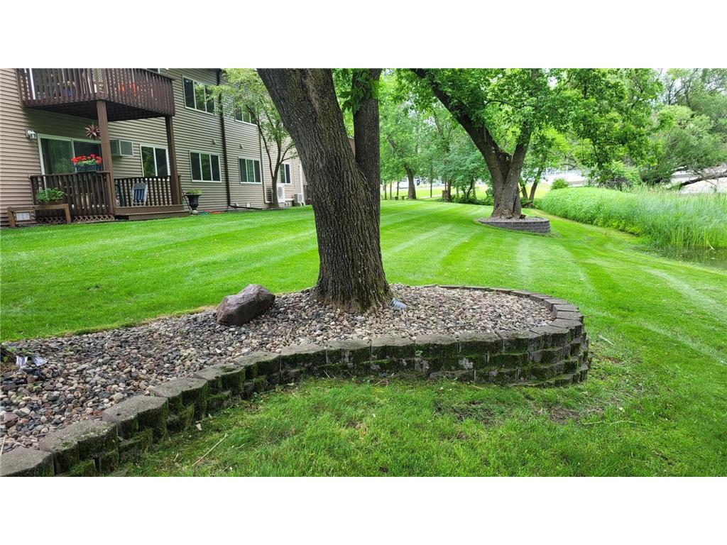 409 Norway Avenue #207 Pine River MN 56474 - Pine River 7105592 image11