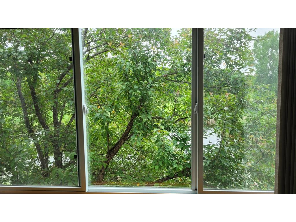 409 Norway Avenue #207 Pine River MN 56474 - Pine River 7105592 image17