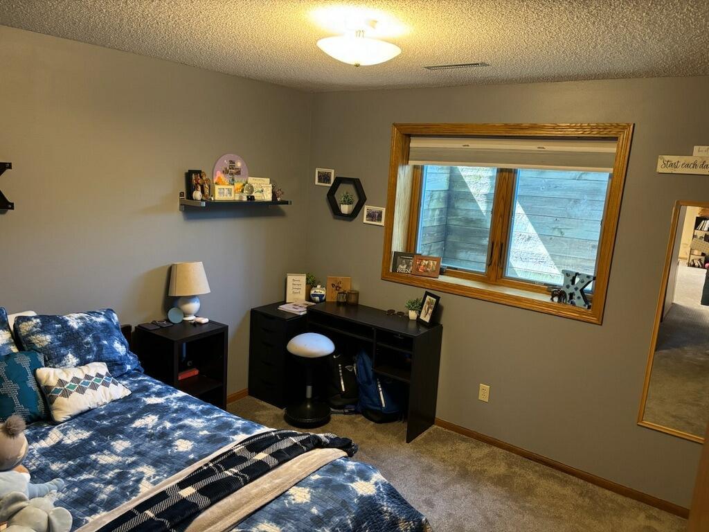409 Sundown Drive Avon MN 56310 7077757 image10