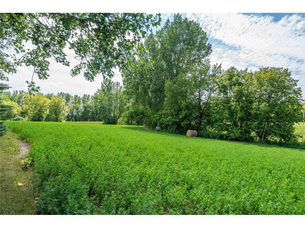 409 Tacoma Avenue N Norwood Young America MN 55397 6363067 image1