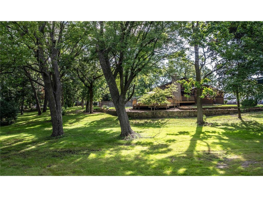 409 Willow Street Farmington MN 55024 - Vermillion River 6825431 image7