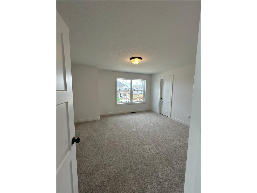 4097 Arbor Drive Woodbury MN 55129 6825244 image18