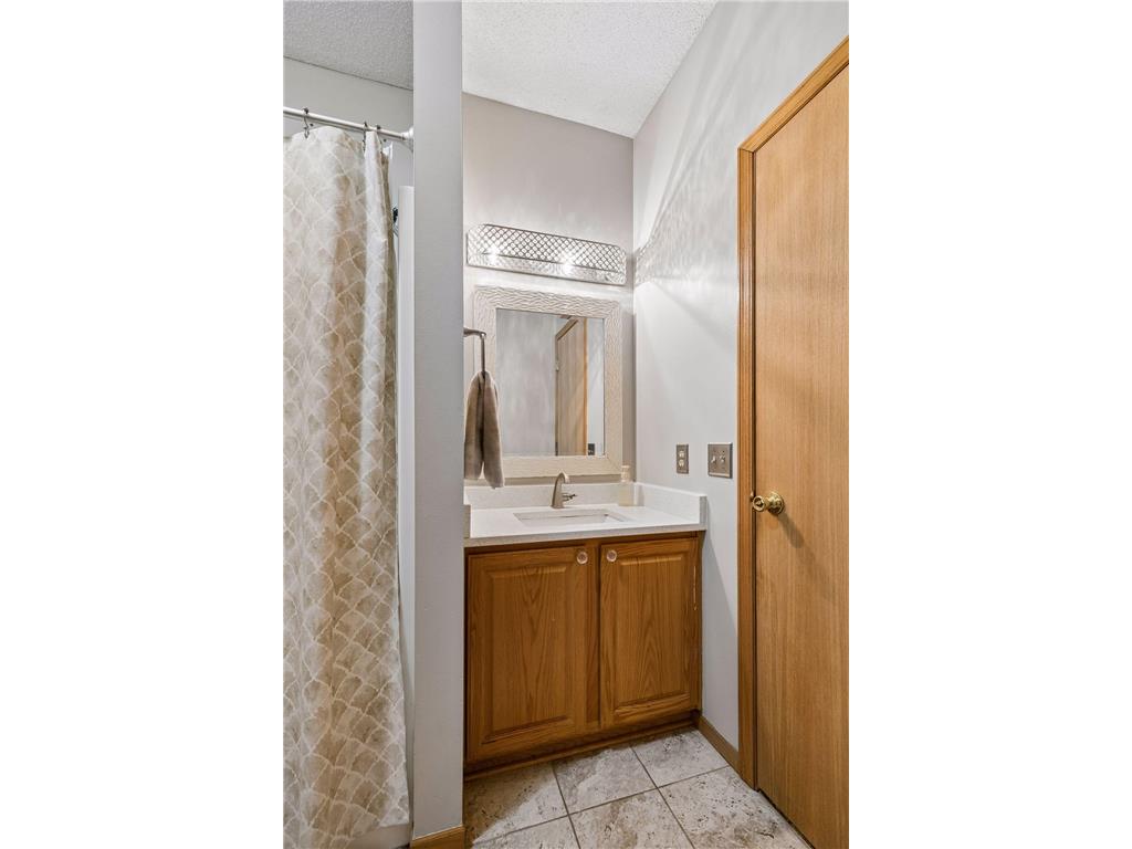 4099 Meadowlark Curve Eagan MN 55122 7074052 image18