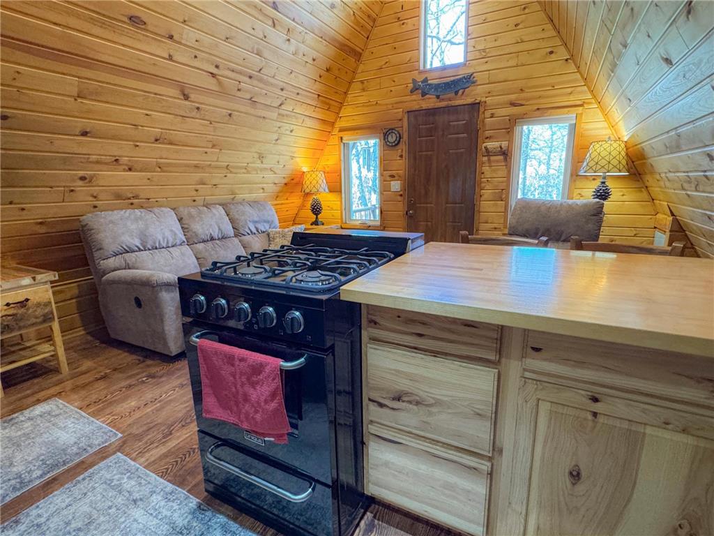 40995 205th Avenue Schoolcraft Twp MN 56461 - Hubbard 7080323 image15