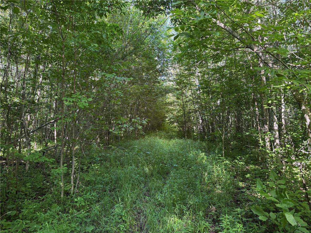 40a Bridgie Road Northome MN 56661 7050529 image1