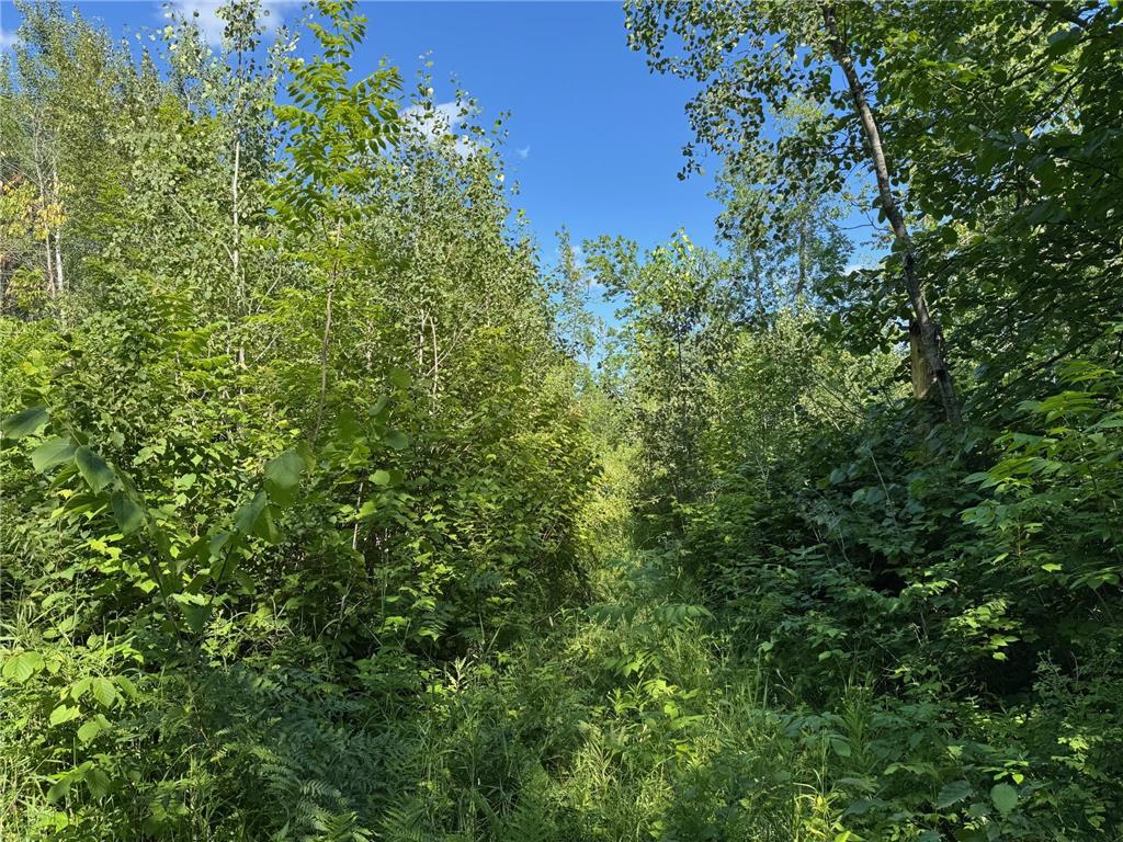 40a Bridgie Road Northome MN 56661 7050529 image2