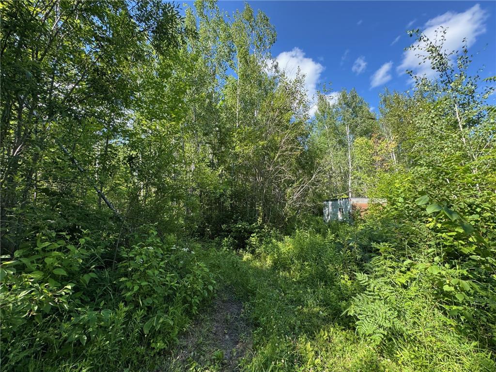 40a Bridgie Road Northome MN 56661 7050529 image4