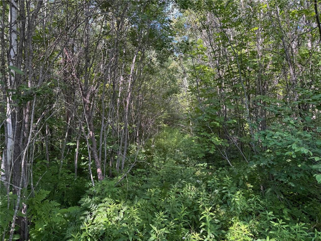 40a Bridgie Road Northome MN 56661 7050529 image5
