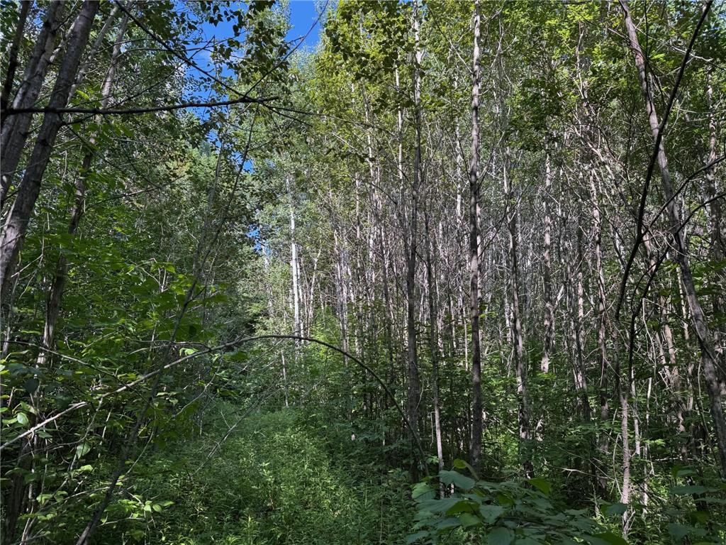 40a Bridgie Road Northome MN 56661 7050529 image7