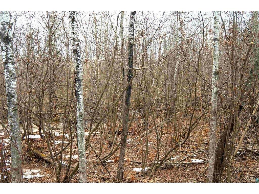 40xx Fairview Road Rice Lake Twp MN 55803 6517540 image1