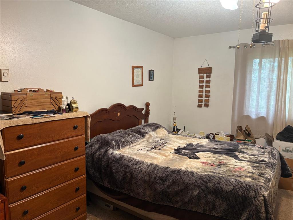 41 County Line Avenue Clear Lake Twp WI 54005 6780896 image23