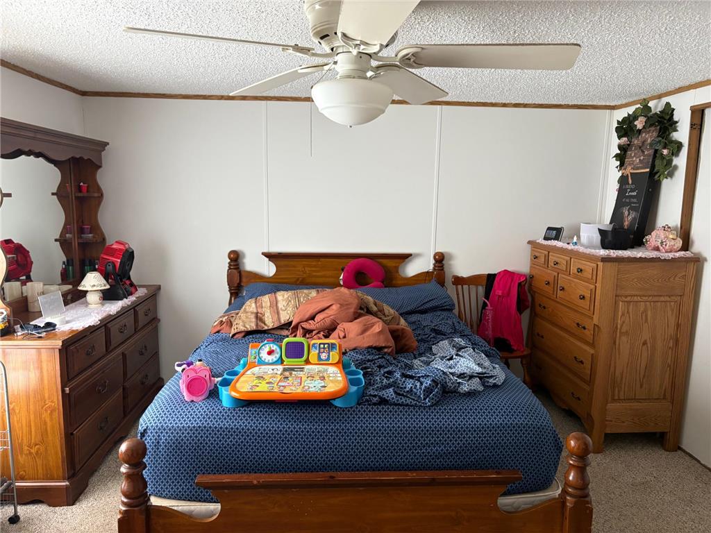 41 County Line Avenue Clear Lake Twp WI 54005 6780896 image25