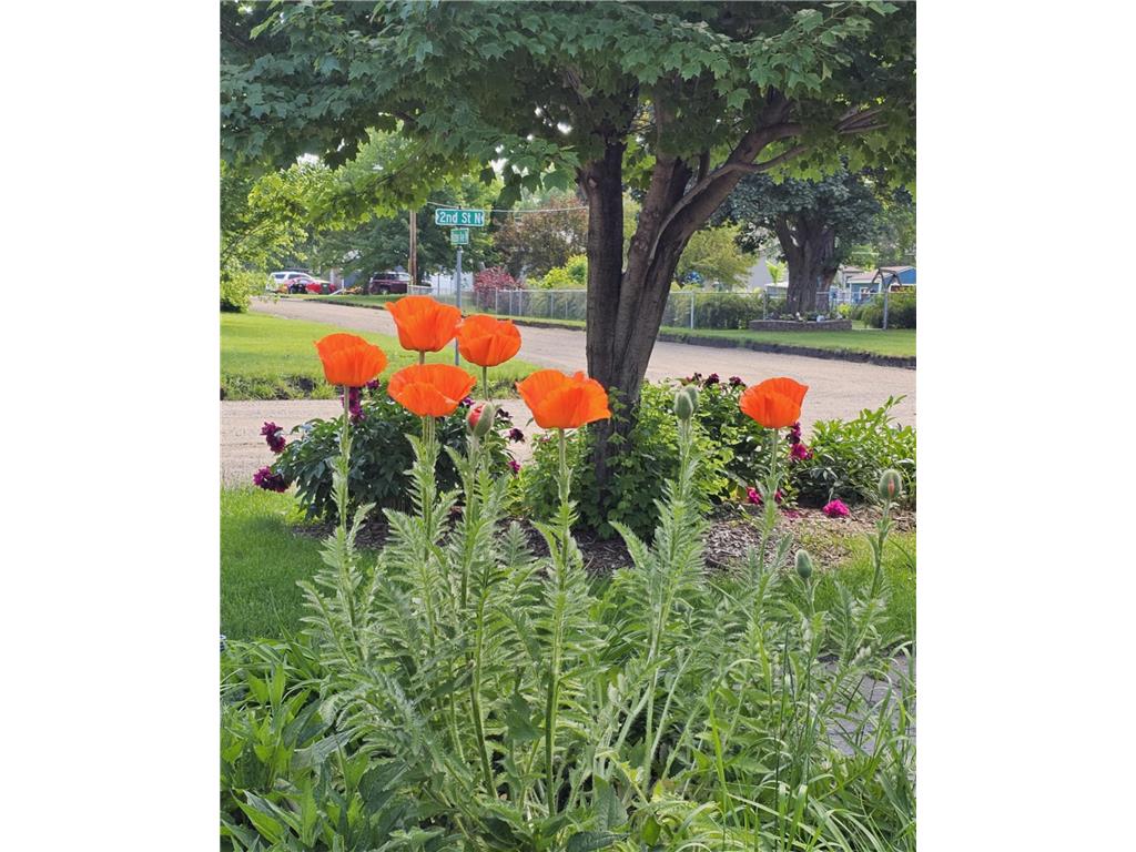 410 2nd Street N Atwater MN 56209 6806379 image70