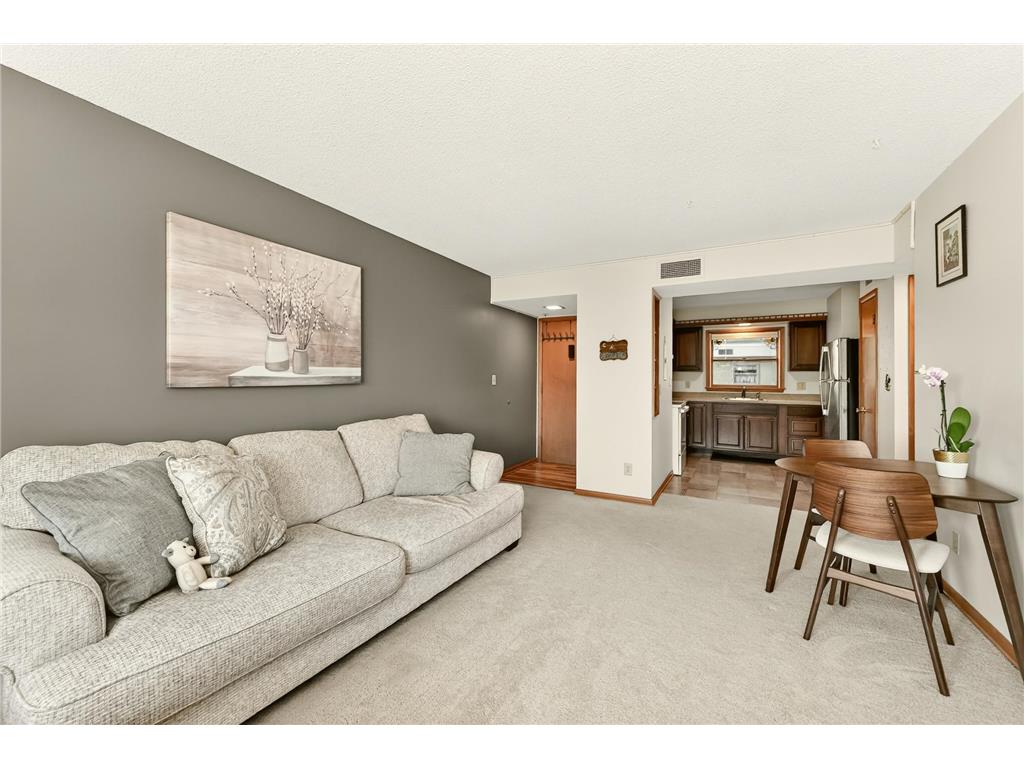 410 6th Avenue SW #M6 Rochester MN 55902 7081785 image5