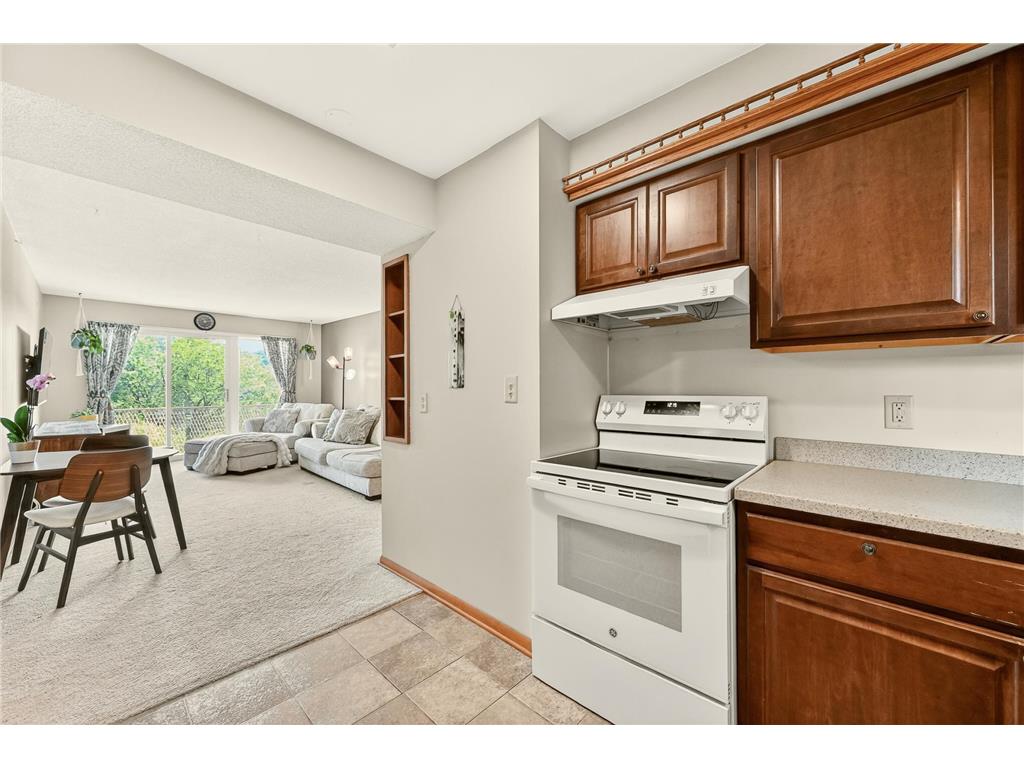 410 6th Avenue SW #M6 Rochester MN 55902 7081785 image9