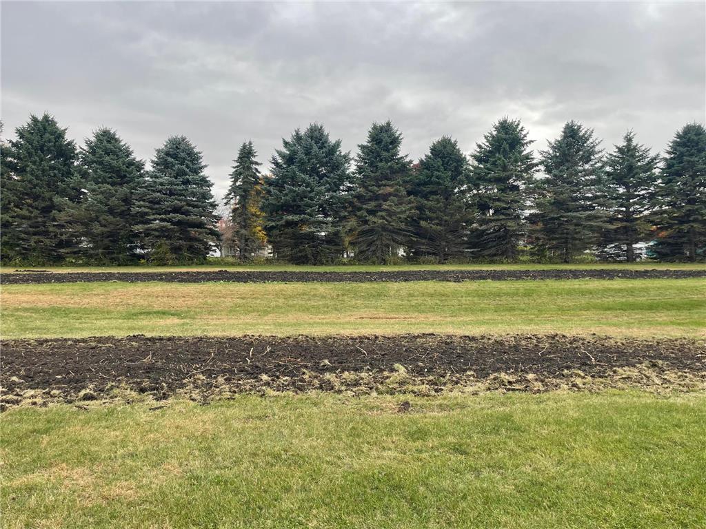 410 Elm Street Tracy MN 56175 6811919 image3