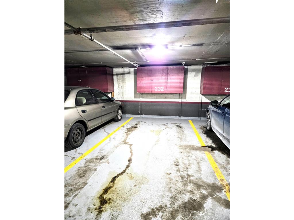 410 Groveland Avenue #1704 Minneapolis MN 55403 7012021 image30