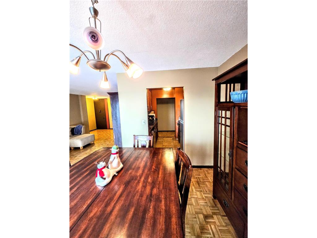 410 Groveland Avenue #1704 Minneapolis MN 55403 7012021 image7