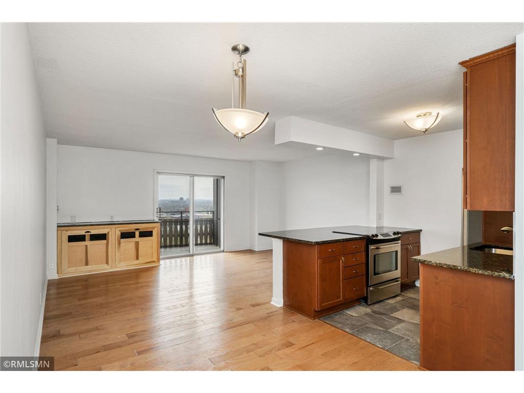 410 Groveland Avenue #1906 Minneapolis MN 55403 7060073 image1