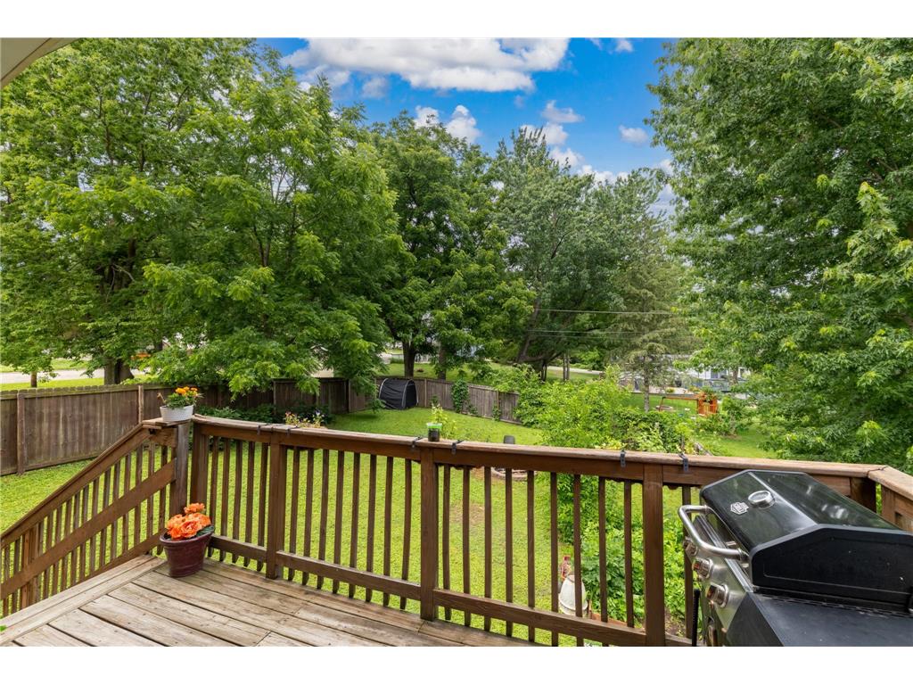 410 N Meridian Street Belle Plaine MN 56011 7098517 image42