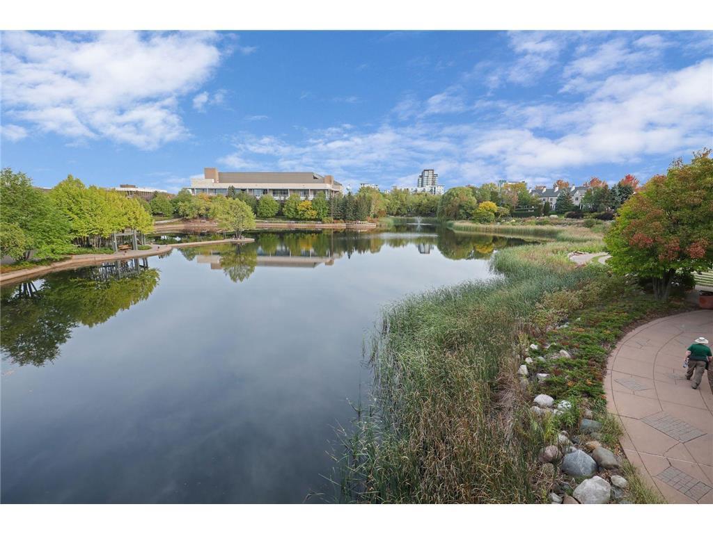 4100 Parklawn Avenue #316 Edina MN 55435 7098250 image29