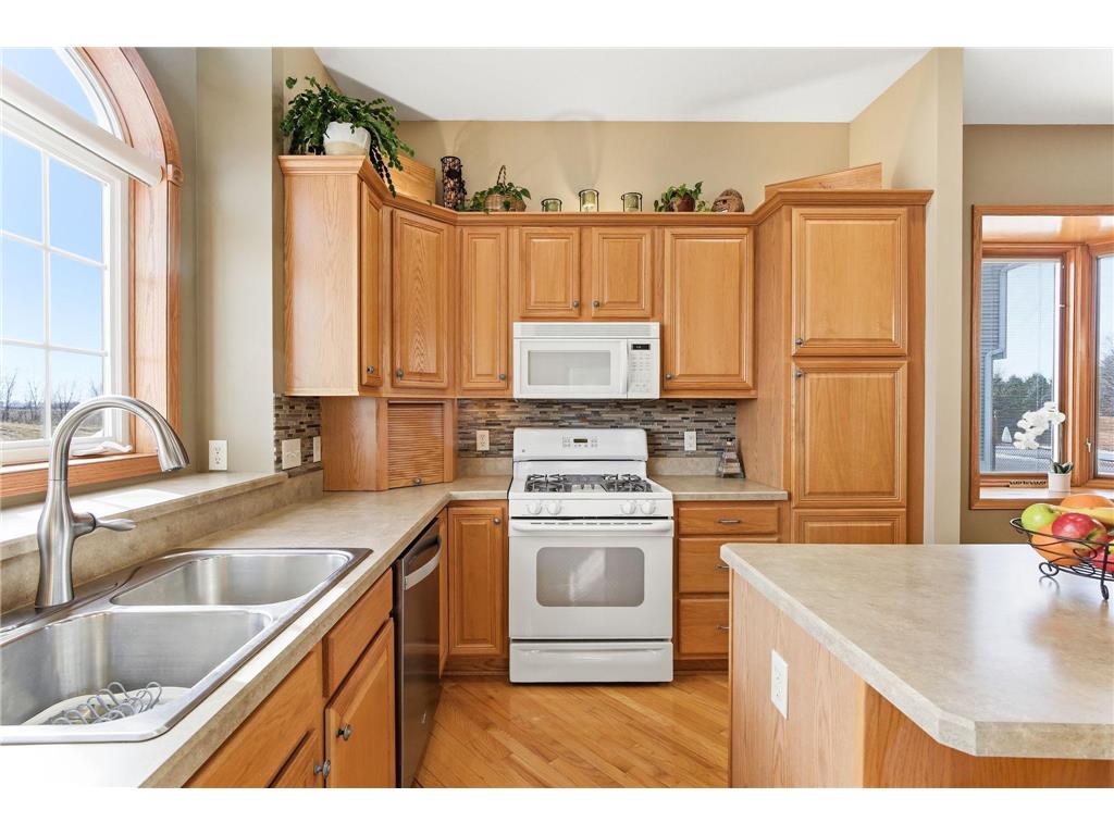 4107 Martin Lane Hastings MN 55033 7049503 image18