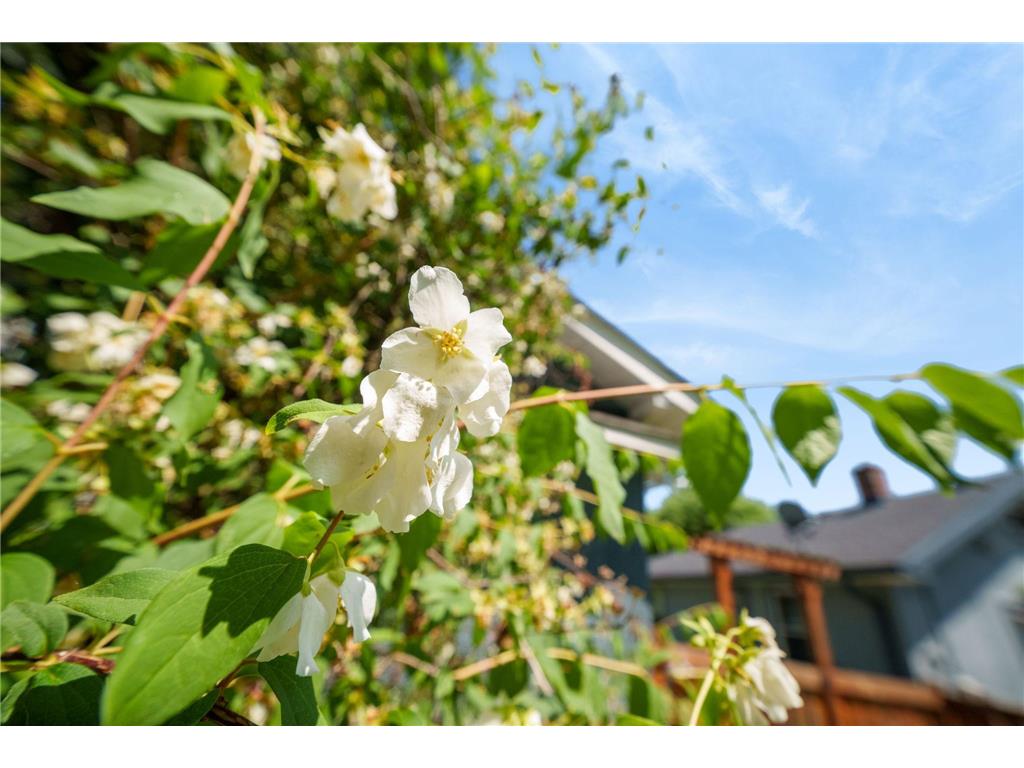 4108 Longfellow Avenue Minneapolis MN 55407 7088768 image40