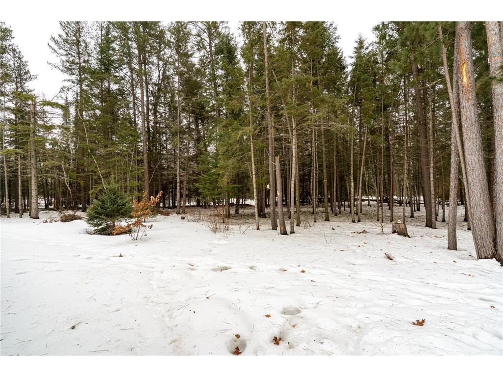 4109 Buttercup Lane NW Solway MN 56678 7067008 image35