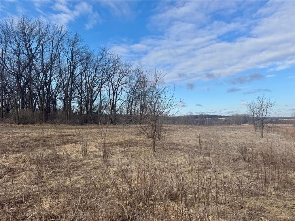 411 36th Avenue SE Rochester MN 55904 7043805 image2